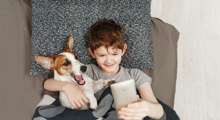 How to work form home with pet